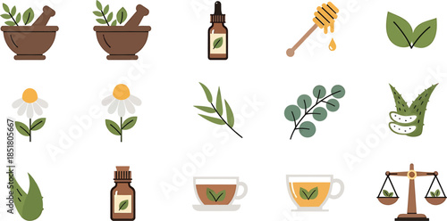 Herbal Medicine and Natural Remedies Collection with Plants and Pills Illustration