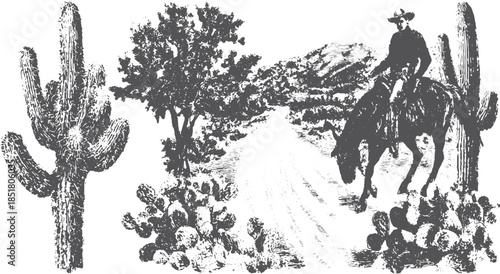 Horse rider in western landscape with cactus. Black and white vector illustration depicting a rugged desert scene.