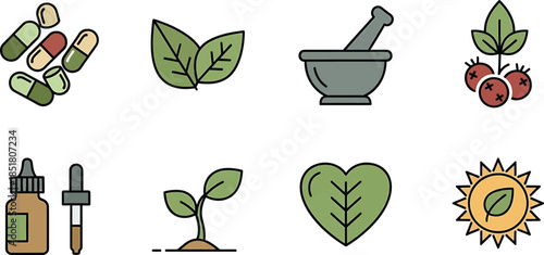 Herbal Medicine and Natural Remedies Icon Set for Health and Wellness.