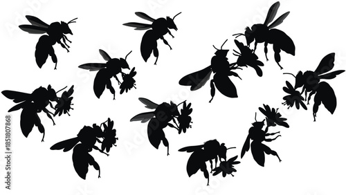 A swarm of bees carrying flowers in flight, silhouetted against a white background.
