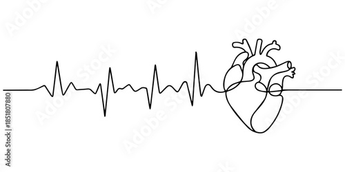 Heartbeat pulse line ending in a heart symbol vector illustration continuous one line drawing of an ECG rhythm and love sign minimalist black sketch, Electrocardiogram ecg or ekg waveform showing