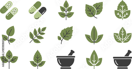 Set of green icons representing natural health and herbal medicine in a grid layout