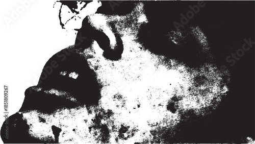Black and white face illustration featuring lips and profile details. Simple artistic vector illustration with striking monochrome texture.