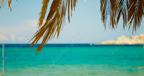 Sea waves softly blurred and focus on plants in the foreground. Unfocused shot of a beach with no people.