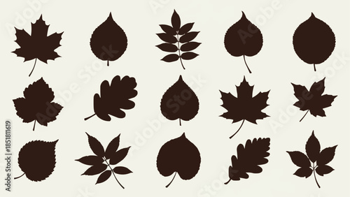 Collection of diverse autumn leaf silhouettes for design elements.