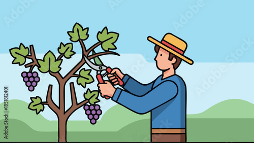 Farmer pruning grapevines in vineyard under blue sky concept of Trifon Zarezan  