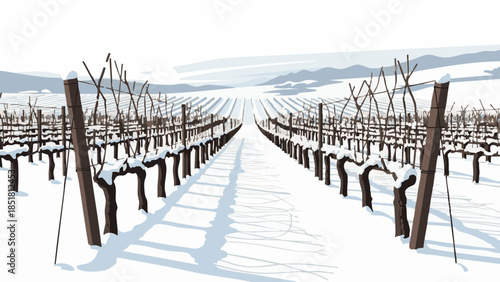 Winter vineyard landscape with snow-covered grapevines and hills  