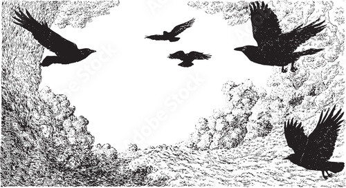 Silhouette of flying birds against a white background. Black crow vector illustration set depicting natural scenery elements.