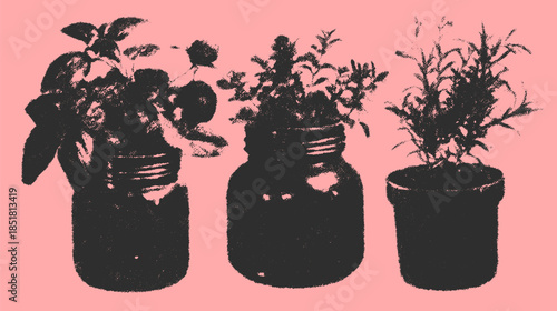 Set of black plants in jars and pots. Simple vector illustration featuring botanical elements on a minimal background.