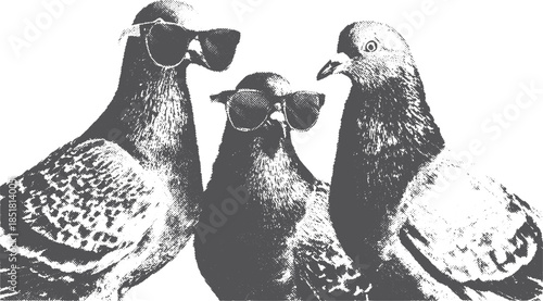 Pigeons wearing sunglasses in a flat style. Simple vector illustration set depicting wildlife.