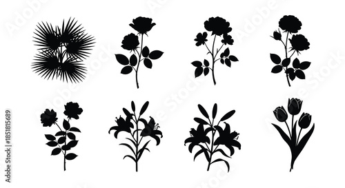 Black silhouettes of various garden flowers and leafy plant arrangements