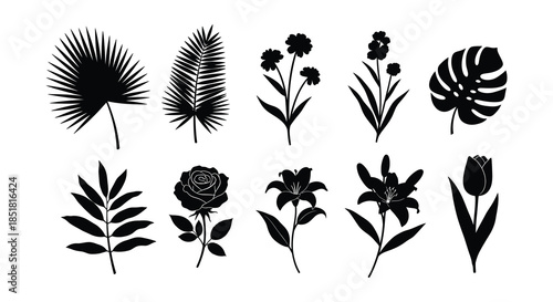 Black silhouettes of various garden flowers and leafy plant arrangements