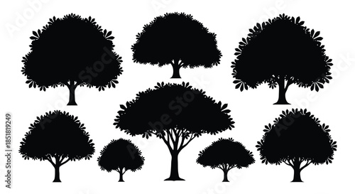 Tree silhouettes in various shapes and sizes