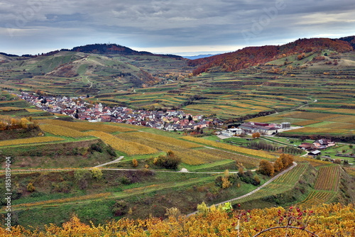 Herbstlandschaft bei Vogtsburg am Kaiserstuhl