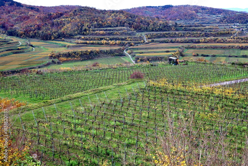 Herbstlandschaft bei Vogtsburg am Kaiserstuhl