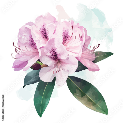 A vectorized, Hand-painted style, vector set available in EPS An Elegant watercolor painting design collection_Watercolor_style_painting_of_a_rhododendron_flower