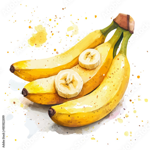 banana_bunch_and_banana_A vectorized, Hand-painted style, vector set available in EPS An Elegant watercolor painting design collection