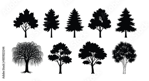 Silhouettes of various evergreen and deciduous trees against a white background
