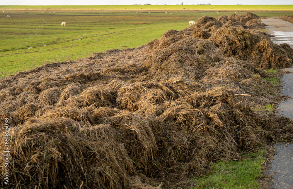 Naklejka premium Large pile of manure fertilizer on rural farmland field