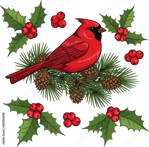 Create a Set of christmas decorations with red bird, pine branch, holly berries, holly leaves vector art with white background..