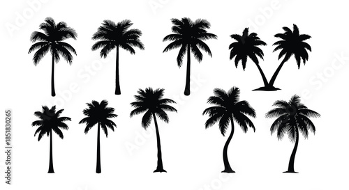 A collection of black silhouette palm trees in various shapes and sizes