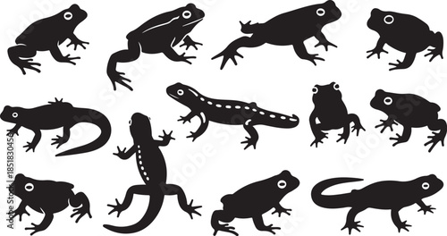 Collection of amphibian and reptile silhouettes