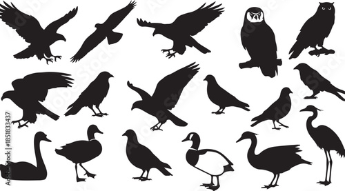 Collection of various bird silhouettes