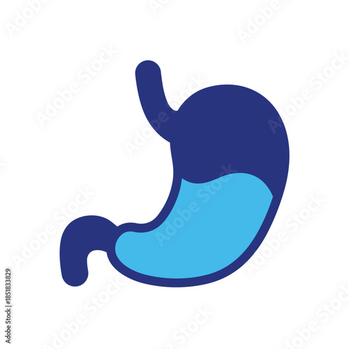 Human stomach organ anatomy vector illustration for digestive system