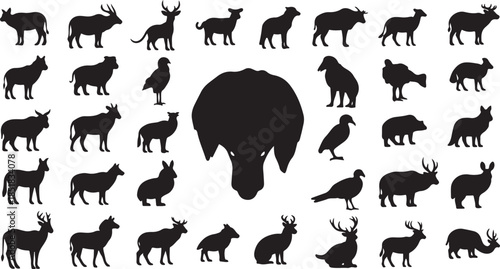 Large set of animal silhouettes collection