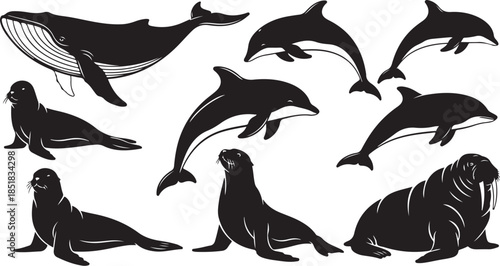 Marine mammal silhouettes black and white set