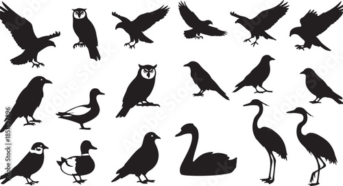 Collection of diverse bird silhouettes