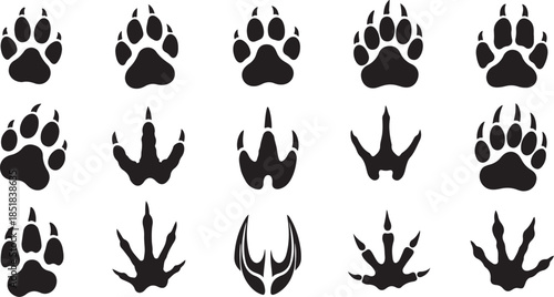 Collection of animal paw and bird tracks