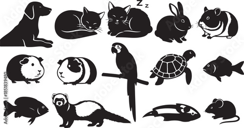Collection of common pet animal silhouettes