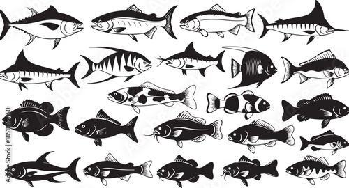 Collection of various fish silhouettes and line art