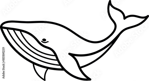 Empty vector file display