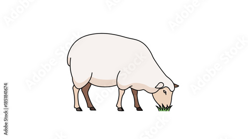 Cartoon drawing of a white sheep grazing on green grass on a white background