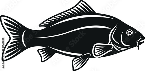 Empty vector file display