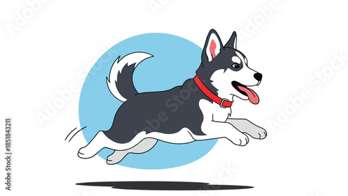 Energetic husky puppy wearing a red collar jumping playfully through a light blue circular frame on a clean white background.
