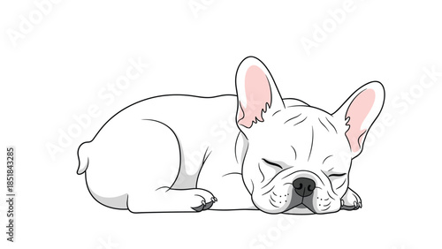 Adorable white French Bulldog puppy sleeping soundly on its stomach against a plain white background for pet care advertising.