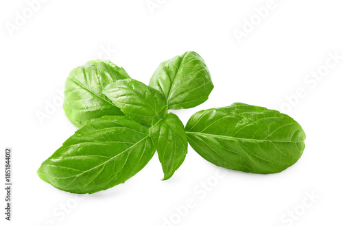 Basil leaf isolated on white background. Macro. clipping path