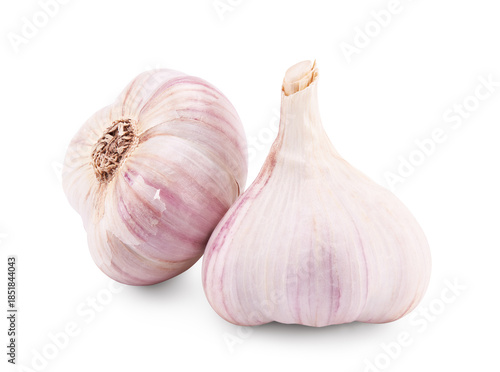 garlic isolated on white background. clipping path