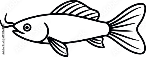 Empty vector file display