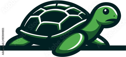 
green turtle illustration