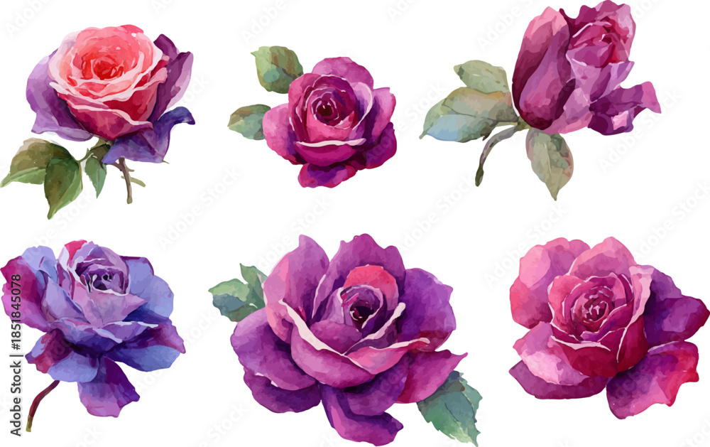 Fototapeta premium set of pink roses