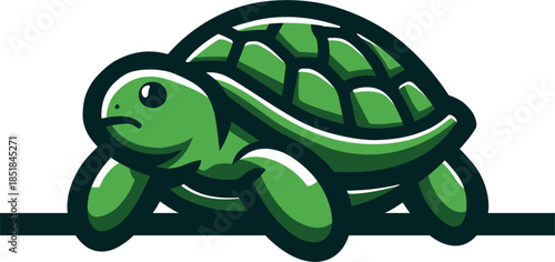 
green turtle illustration