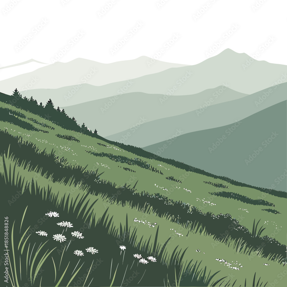 Fototapeta premium Green hillside with white flowers and distant mountain peaks