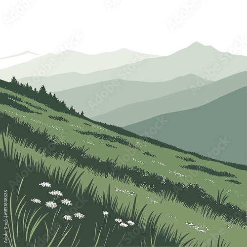 Green hillside with white flowers and distant mountain peaks