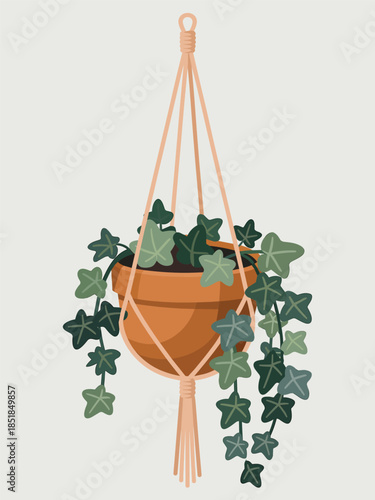 A hanging terracotta pot filled with lush green ivy, suspended from a macrame hanger against a plain white background