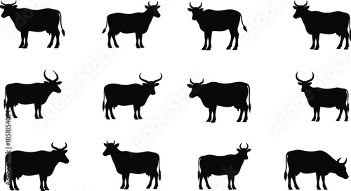 Collection of cow silhouettes in various poses and orientations