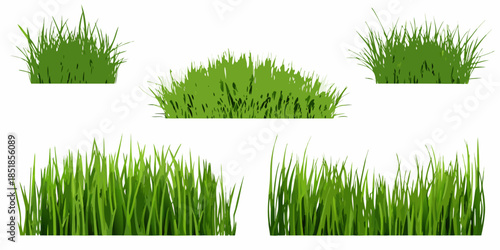 Isolated clumps of vibrant green grass on a plain white background